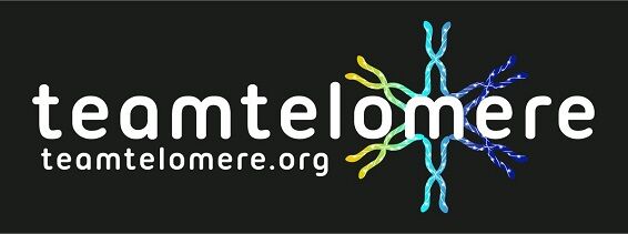 Team Telomere logo