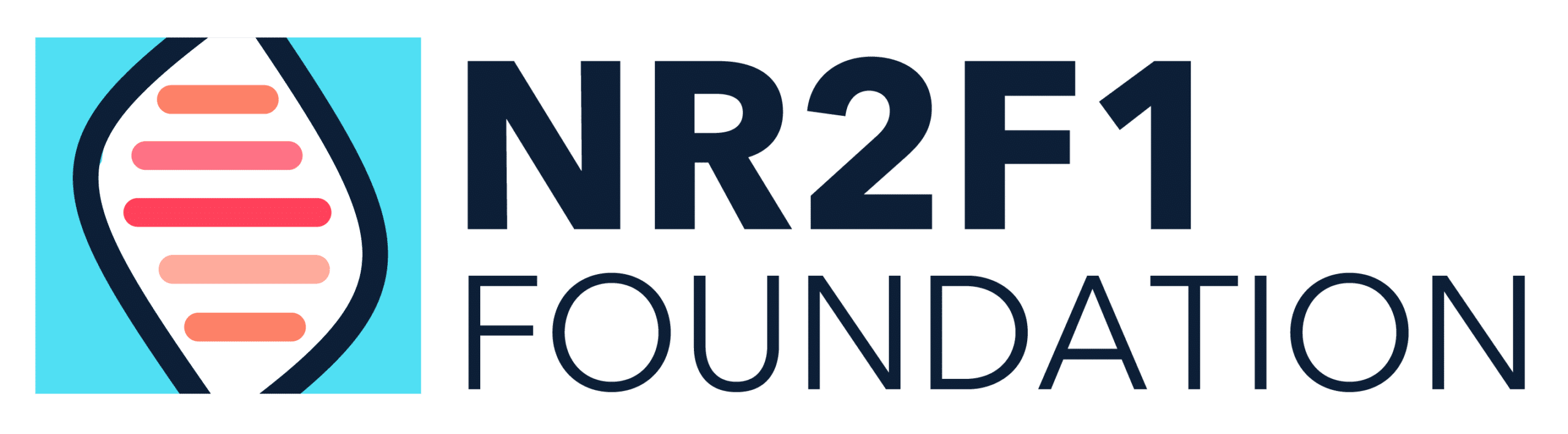 Nr2F1 Foundation logo